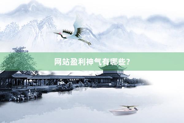 网站盈利神气有哪些？